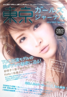 在线服务便捷的cc攻击工具