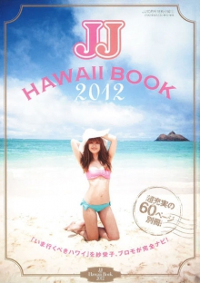 免费ddos攻击网页端